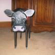 Black Angus Cow