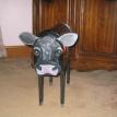 Black Angus Cow
