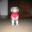 Beagle Paper Towel Holder
