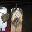 Briard Paper Towel Holder