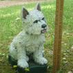 West Highland Terrier Cement