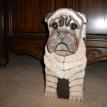 Sharpei Paper Towel Holder