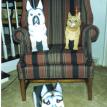 German Shepherd Large Planter and Paper Towel Holder and Cat Paper Towel Holder