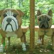 Bulldog and French Bulldog Stools or Plant Stands