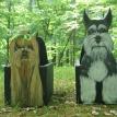 Schnauzer and Yorkshire Terrier Grooming Boxes