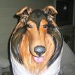 Collie Statue-Face (3)