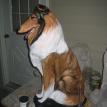 Collie Statue