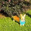 Corgi Bank